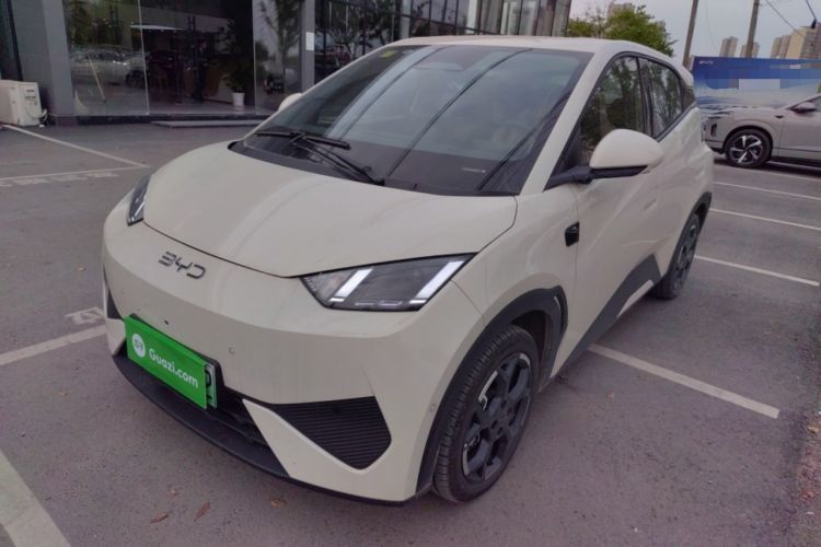 Used BYD Seagull 2025 Smart Drive Version 305 km Freedom Edition