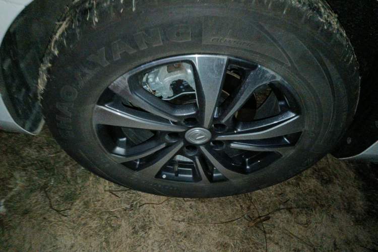 Used Changan Eado 2023 Changan Edition PLUS Blue Whale NE 1.4T GDI DCT Prestige Version
