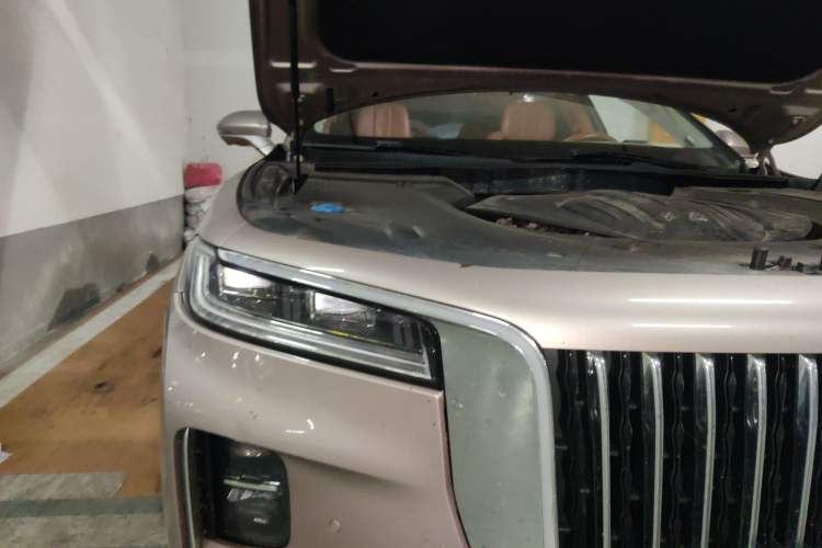 Used Hongqi H9 2020 2.0T Smart Connect Flagship Edition