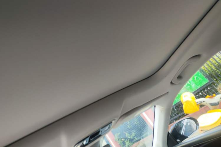 Used Leapmotor C11 2023 Pure Electric 500 Comfort Edition
