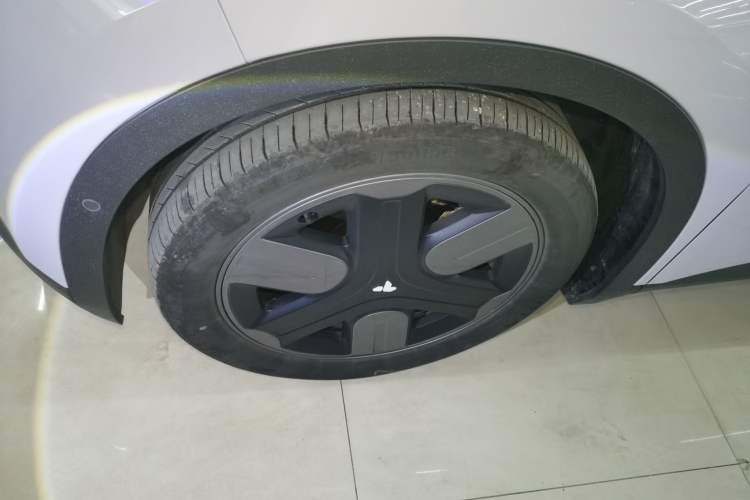 Used firefly 2025 Illuminated Edition
