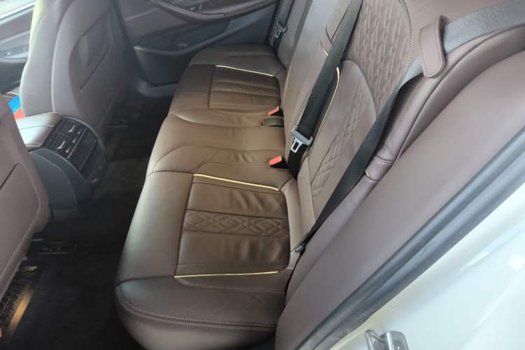 Used BMW 5 Series New Energy 2019 Updated Version 530Le Luxury Package Left Rear Seat