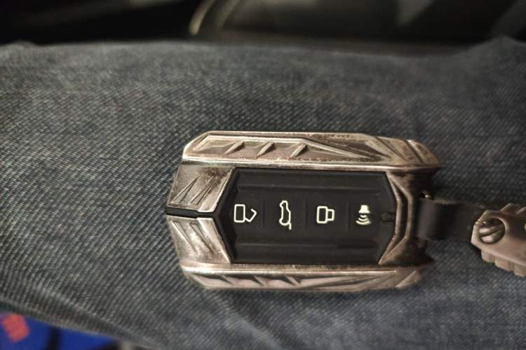 Used Tank 300 2021 City Edition 2.0T—Truly Stylish