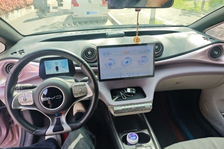 Used BYD Dolphin 2023 420 km Fashion Edition Center Console