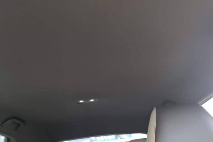 Used BYD Dolphin 2023 420 km Free Version Headliner