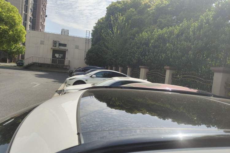 Used Jaguar F-PACE 2024 P250 R-Dynamic SE Roof