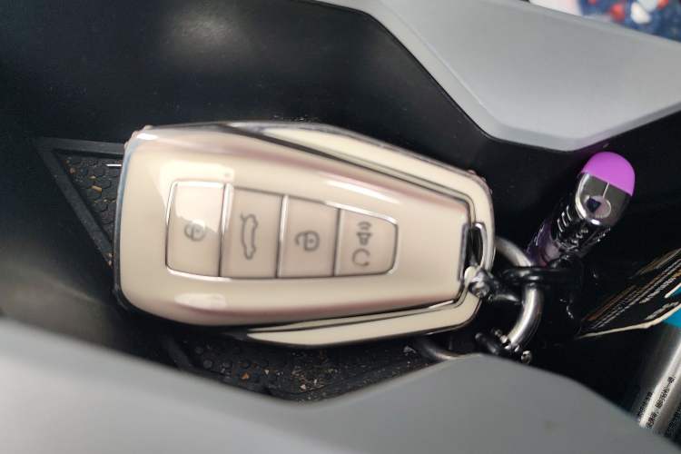 Used Geometry C 2020 Selected Range Edition 550 KM C++