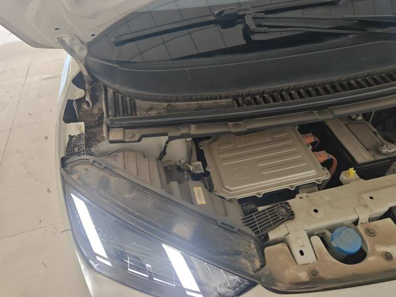 Used BYD Seagull 2023 Free Edition — 22