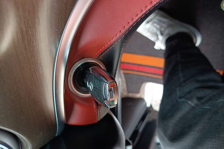 Used Rhine Traveler 2021 2.0T Neptune