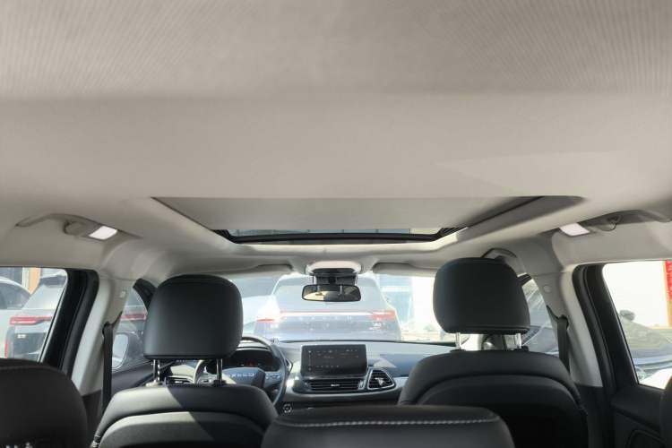 Used EXEED TX 2020 1.6T Two-Wheel Drive Star Edition