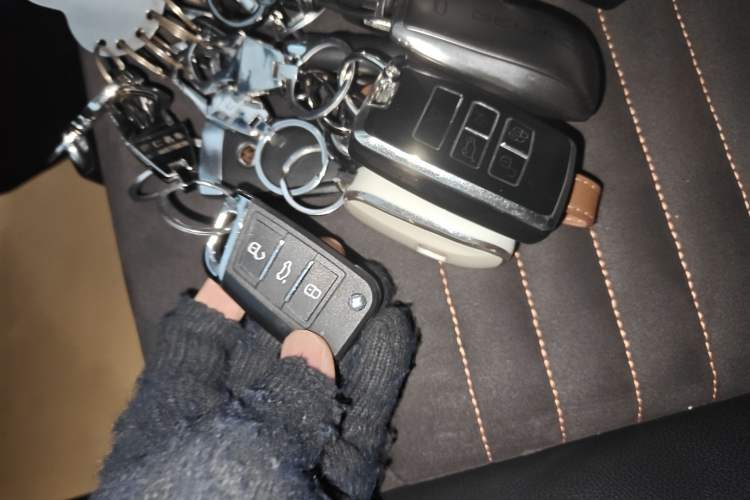 Used Volkswagen Magotan 2021 330TSI DSG 30th Anniversary Edition
