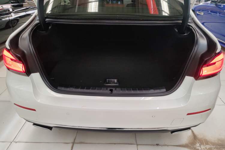 Used BMW 5 Series New Energy 2021 535Le Luxury Package
