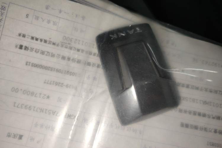 Used Tank 300 2023 Off-Road Edition 2.0T Conqueror Vehicle Key