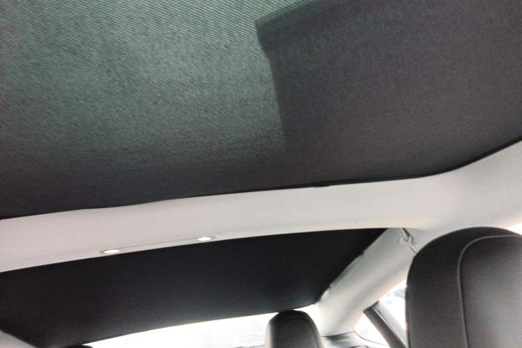 Used Tesla Model 3 2019 Standard Range Rear-Drive Upgraded Version Headliner