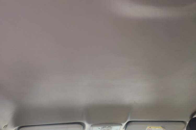 Used JAC Group iEVA50 2018 Luxury Model
