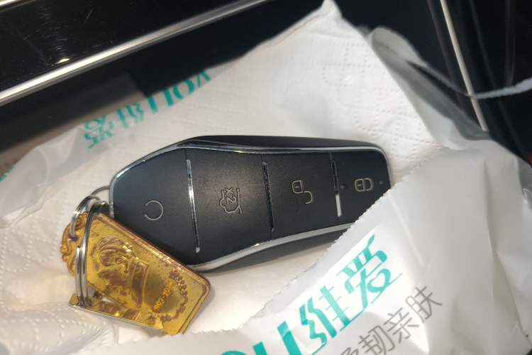 Used BYD Qin PLUS 2023 Champion Edition EV 420KM Superior Model