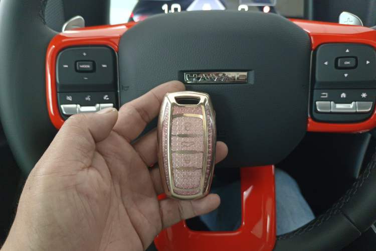 Used Haval DARGO 2024 2.0T DCT Chinese Rural Dog Edition
