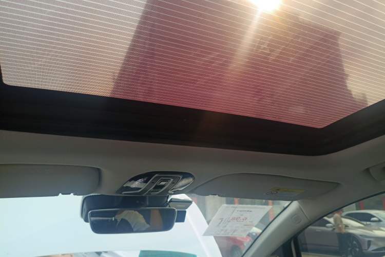 Used AION V 2020 80 MAX Edition Headliner
