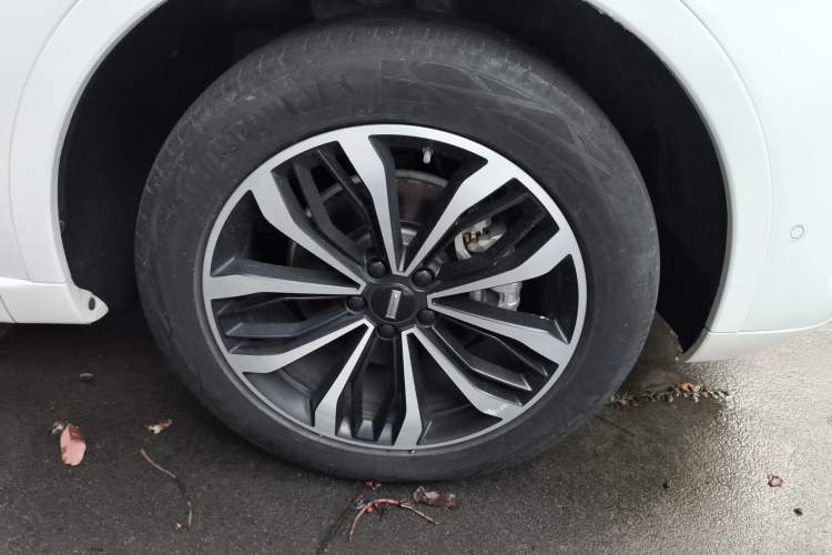 Used Wey Mocha 2021 2.0T Two-Wheel-Drive Premium Edition