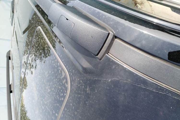 Used Tank 400 2025 2.0T Gasoline Version