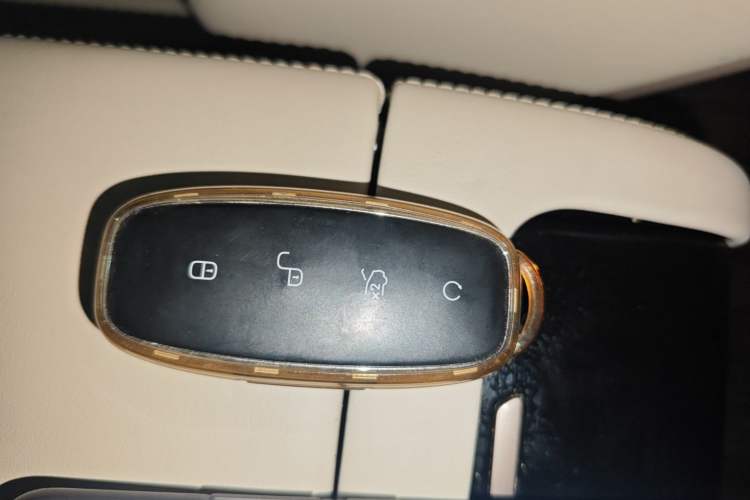 Used Denza D9 2023 DM-i 945 Business Edition