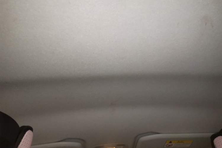 Used Peugeot 2008 2014 1.6L Automatic Trend Edition Headliner