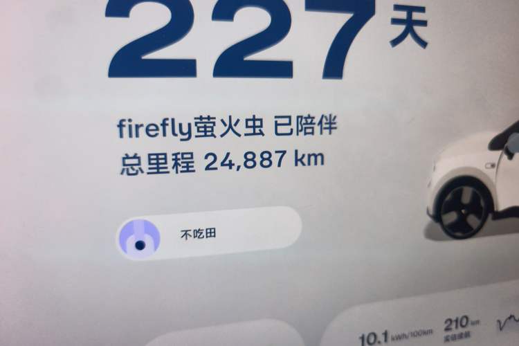 Used firefly 2025 Illuminated Edition
