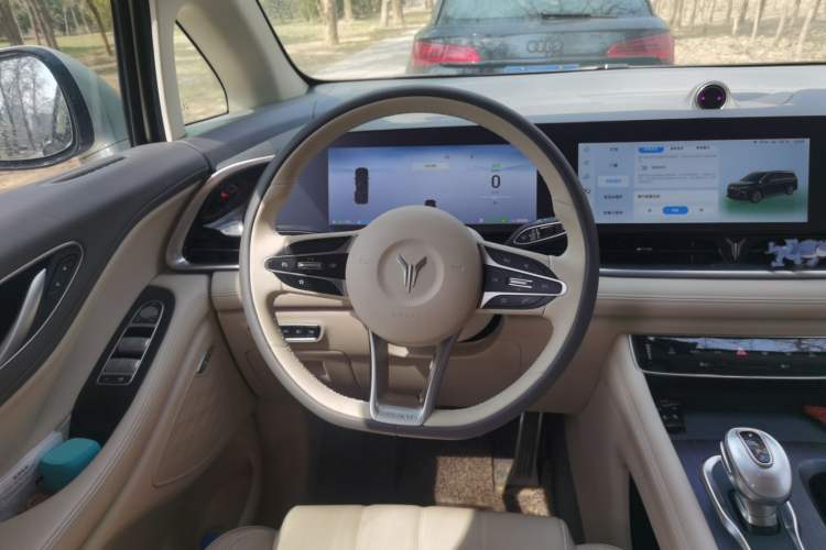 Used VOYAH Dream 2022 Low-Carbon Edition Home