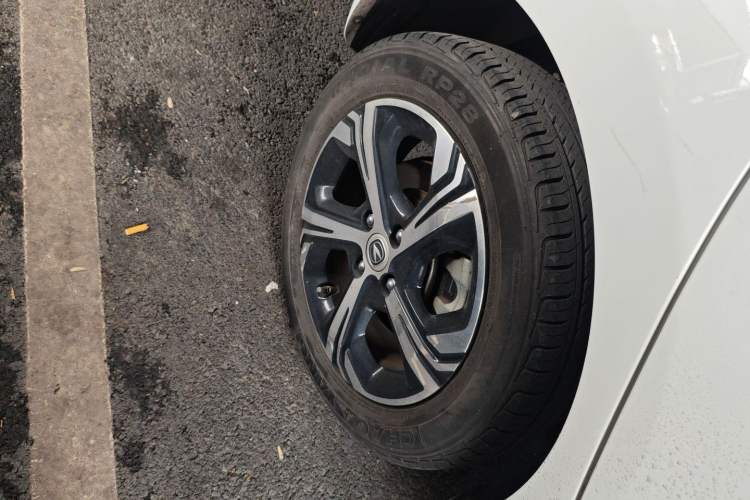 Used CHANGAN OSHAN Benni E-Star 2020 Heartbeat Edition NMC Lithium Exterior 8