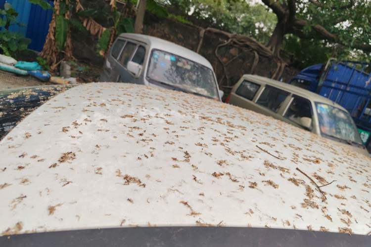 Used Ford Focus 2012 Sedan 1.6L Automatic Comfort Model