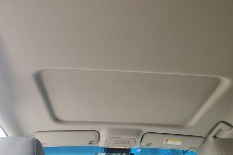 Used Buick GL8 2017 25S Comfort Version China V Standard Headliner