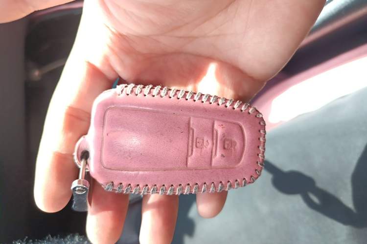 Used Toyota C-HR 2018 2.0L Leading with Sunroof China VI Standard Vehicle Key