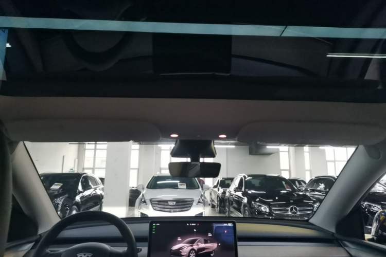 Used Tesla Model Y 2022 Revised Version Rear-Wheel Drive