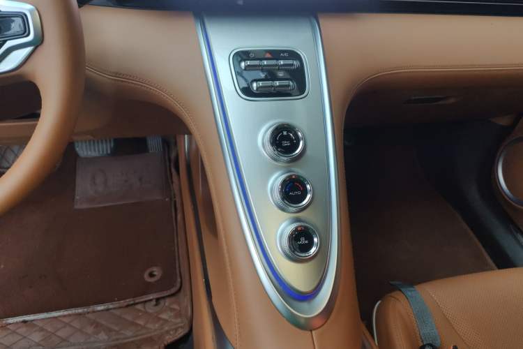 Used ORA Lightning Cat 2022 555 km Luxury Edition