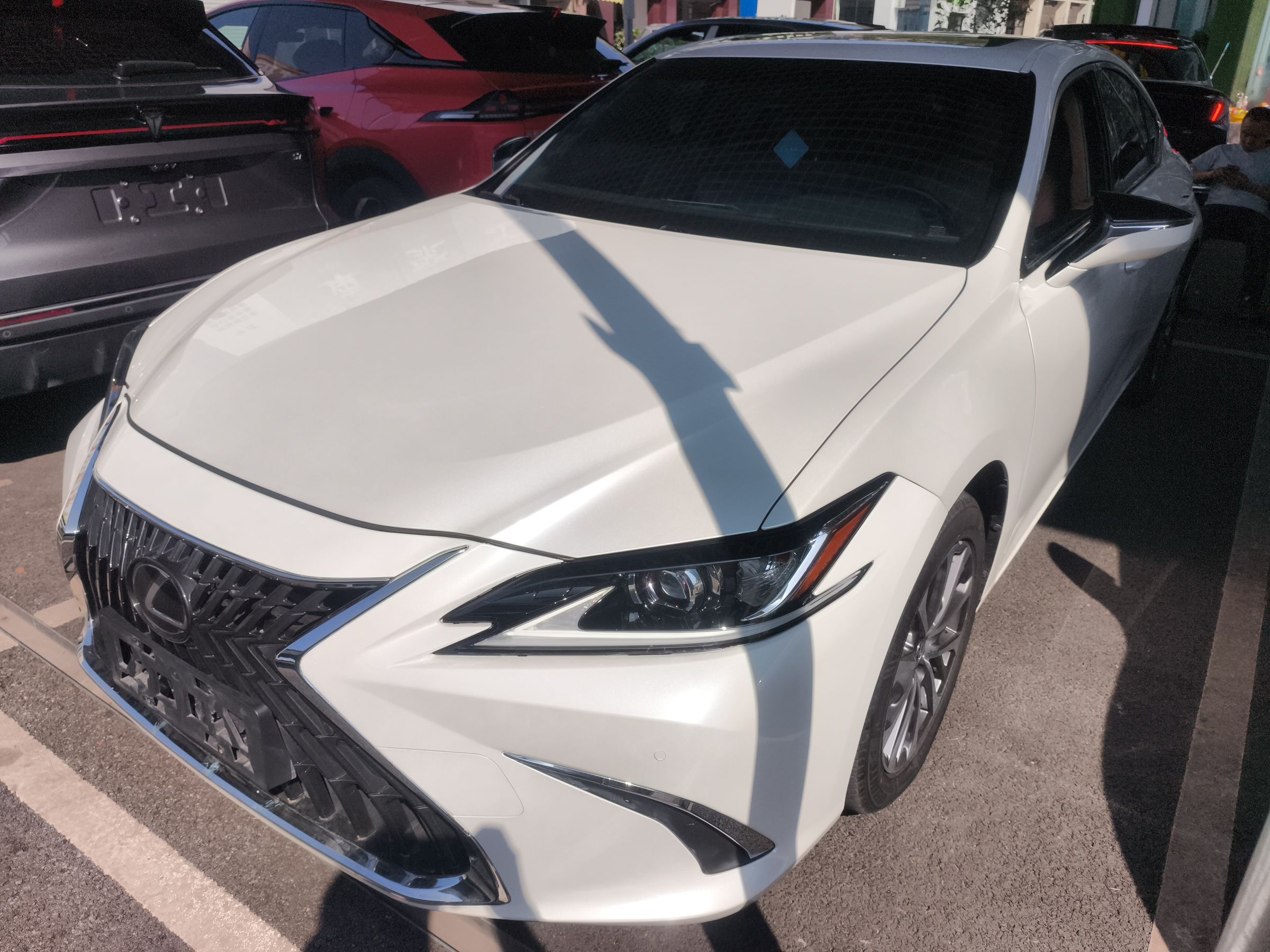 Parte inferior delantera