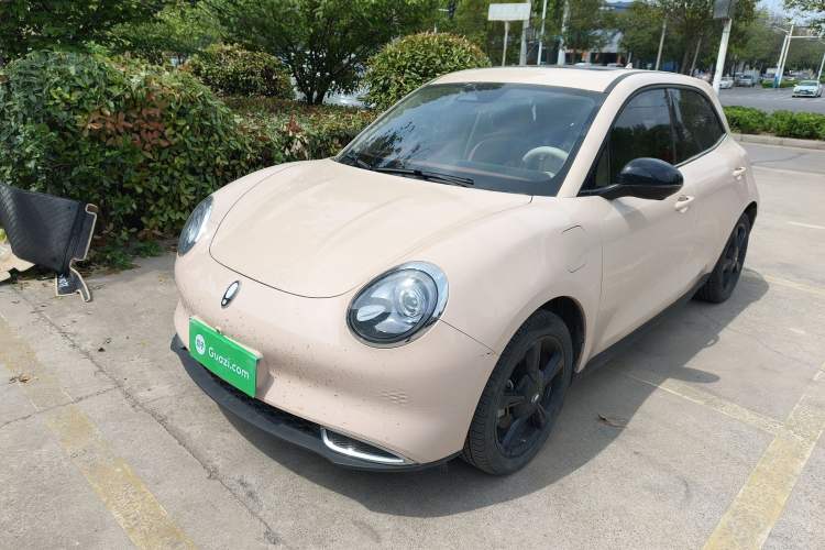 Used ORA Good Cat 2024 401 km Luxury Version