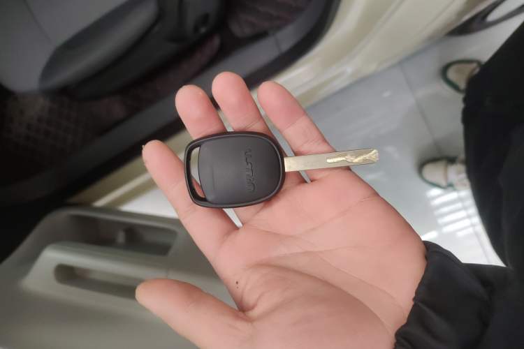 Used Qiyuan Lumin 2023 205km Xiangqin Version
