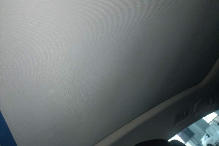 Used Volkswagen Magotan 2018 330TSI DSG Advanced Model Headliner