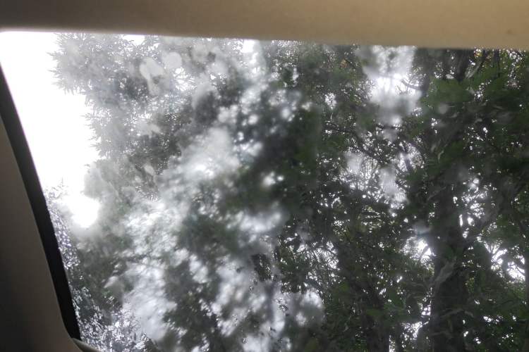 Used Mercedes-Benz C-Class 2020 Restyled C 260 L Sport Edition Headliner