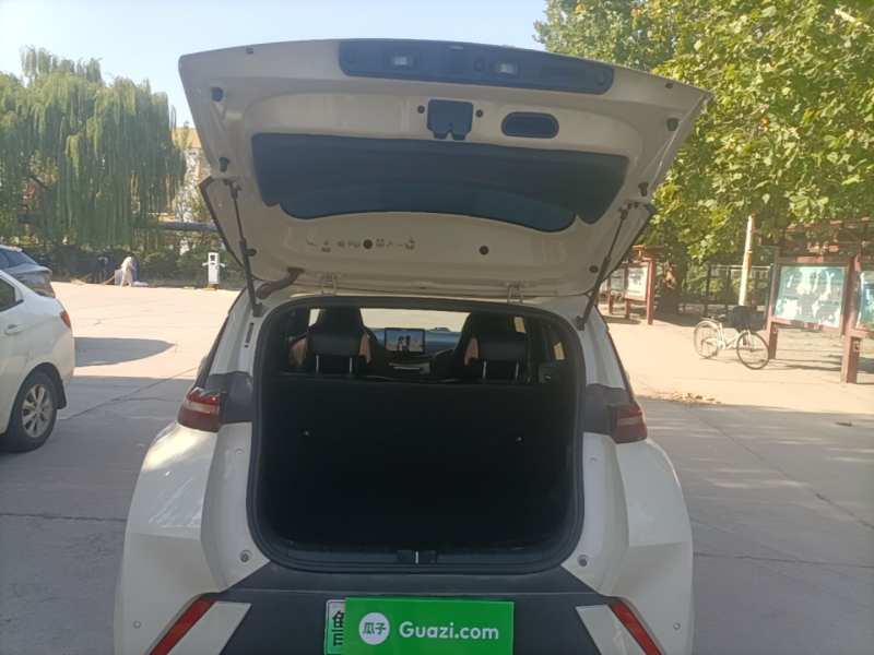 Used BYD Seagull 2023 Free Edition — 18