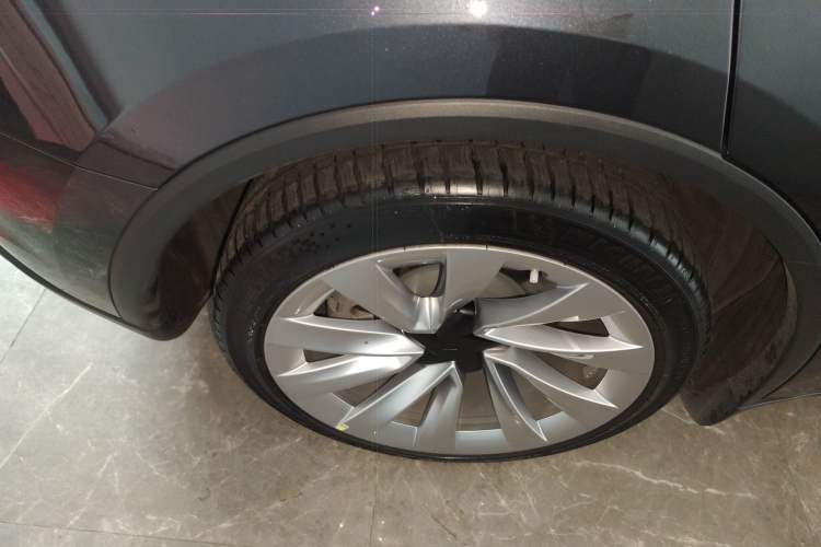 Used Tesla Model Y 2025 Long-Range All-Wheel Drive First Edition Exterior 5