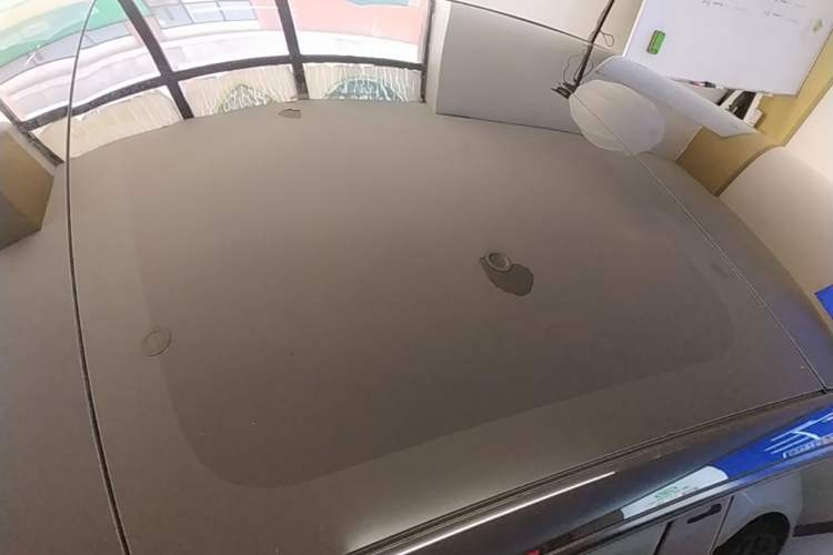 Used Tesla Model 3 2021 Performance High-Performance All-Wheel-Drive Version Roof