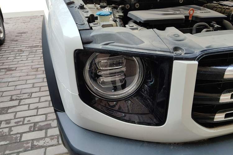 Used Haval DARGO 2021 1.5T DCT Two-Wheel Drive Labrador Edition