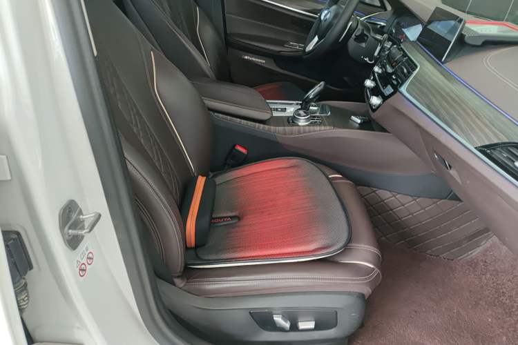 Used BMW 5 Series 2020 530Li Leading Edition Luxury Package