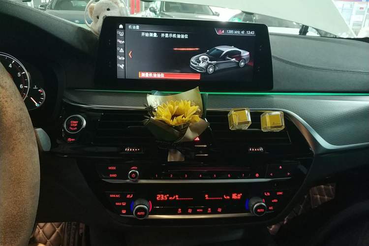 Used BMW 5 Series 2018 525i M Sport Package