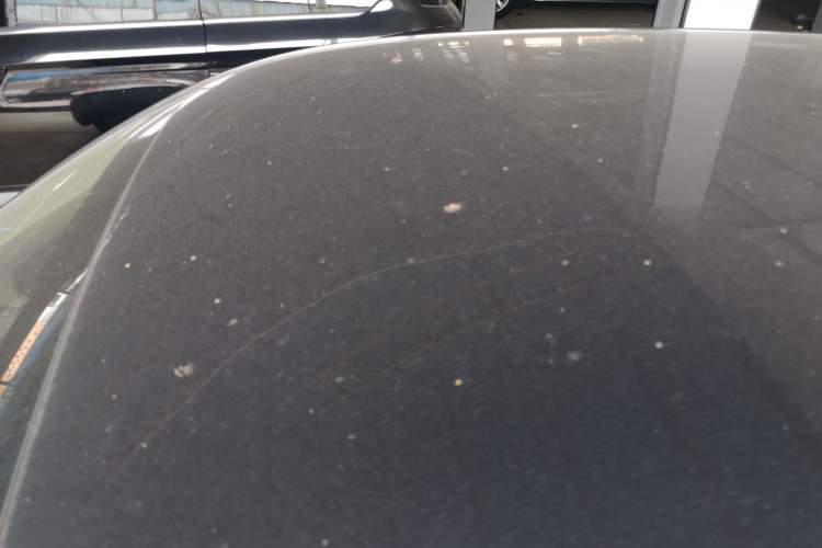 Used ORA Black Cat 2021 301 km Basic Version
