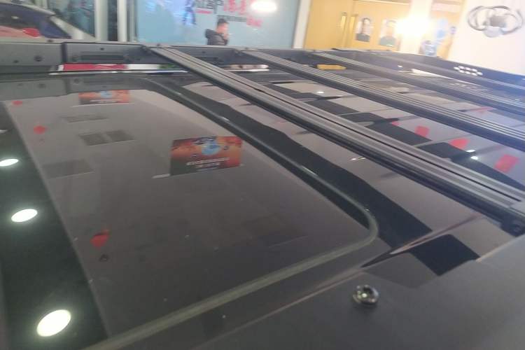 Used Tank 300 2025 2.0T Conqueror
