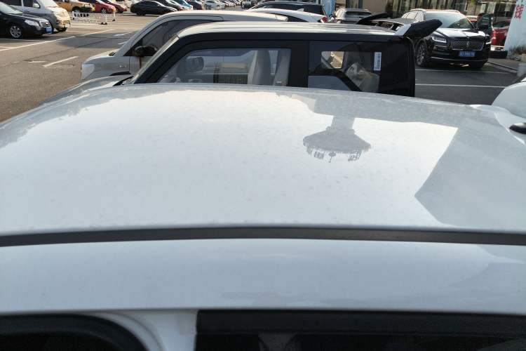 Used ORA Black Cat 2021 301km Cute Pet Edition