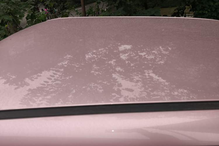 Used Qiyuan Lumin 2023 301km Honey Dew Edition
