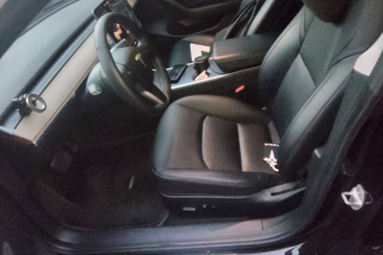 Used Tesla Model 3 2019 Long-Range All-Wheel-Drive Version
